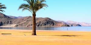 Beitragsbild des Blogbeitrags Familien-Neueröffnung in Marsa Alam // 6 Tage im neuen Hotel ***** mit All Inclusive, Transfer & Flügen // nur 646,-€