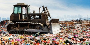 Beitragsbild des Blogbeitrags Müllvermeidung in der Küche | 10 no-waste Tipps