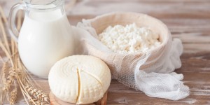 Beitragsbild des Blogbeitrags BIO aus Österreich – Von der Milch zum Käse 