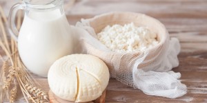 Beitragsbild des Blogbeitrags BIO aus Österreich – Von der Milch zum Käse