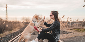 Beitragsbild des Blogbeitrags Die besten Lebensmittel für Hund und Herrchen