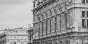 Beitragsbild des Blogbeitrags SUPPORT YOUR LOCAL 