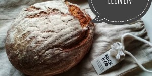 Beitragsbild des Blogbeitrags Ab in die Tiefkühltruhe