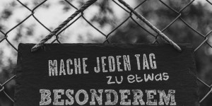 Beitragsbild des Blogbeitrags Kurse / Workshops