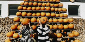 Beitragsbild des Blogbeitrags Pumpkin Patch in Vienna – Must visit in October!