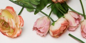 Beitragsbild des Blogbeitrags Rezension: Träume, die ich uns stehle* von Lily Oliver