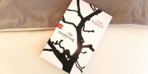 Beitragsbild des Blogbeitrags Die Annäherung von Anna Mitgutsch (Rezension)
