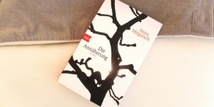 Beitragsbild des Blogbeitrags Die Annäherung von Anna Mitgutsch (Rezension) 