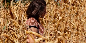 Beitragsbild des Blogbeitrags Die wärmsten Töne…