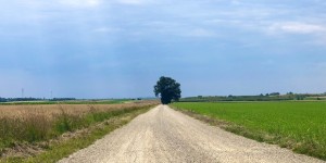 Beitragsbild des Blogbeitrags Lauftipps (1): Warum eigentlich gerade Laufen?