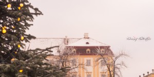 Beitragsbild des Blogbeitrags Christmas fun in Schloss Hof