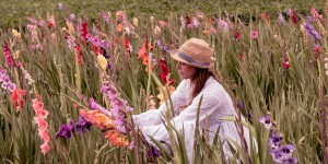 Beitragsbild des Blogbeitrags Snowing Butterflies best kept secret: a picturesque photo location near Vienna