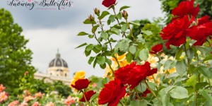 Beitragsbild des Blogbeitrags A sea of roses, an empress and a temple: the Volksgarten in Vienna  