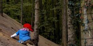 Beitragsbild des Blogbeitrags Golden Days, Autumn days