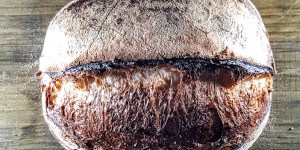 Beitragsbild des Blogbeitrags Moulin Ruch – Ein brotesques Weizensauerteig-Erlebnis