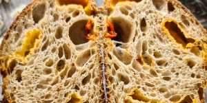 Beitragsbild des Blogbeitrags Blogbuster: #brotokoll Cinema-Bread für großes (Ofen-) Kino