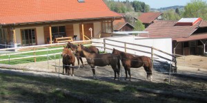 Beitragsbild des Blogbeitrags Ich bin reich beschenkt