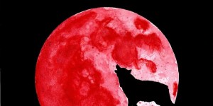 Beitragsbild des Blogbeitrags Blutmond 