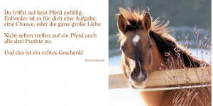 Beitragsbild des Blogbeitrags „W“ wie Weihnacht (oder wie Woody)
