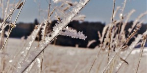 Beitragsbild des Blogbeitrags Ehret die Ahnen!