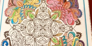 Beitragsbild des Blogbeitrags Herz & Verstand Award