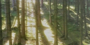 Beitragsbild des Blogbeitrags Kleines Sommerrätsel