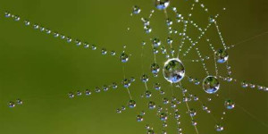 Beitragsbild des Blogbeitrags #ohne Titel