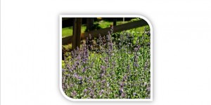 Beitragsbild des Blogbeitrags Produktkatalog 2018