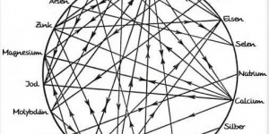 Beitragsbild des Blogbeitrags Mineralfutter - geeignet für PSSM-Pferde und Pferde mit Stoffwechselproblemen