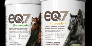 Beitragsbild des Blogbeitrags * * * Top Produkte für diese Jahreszeit * * *