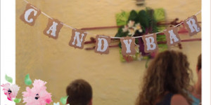 Beitragsbild des Blogbeitrags Candy Bar? Salty Bar? Beides?