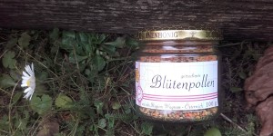 Beitragsbild des Blogbeitrags Blütenpollen