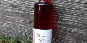 Beitragsbild des Blogbeitrags Rosenblüten Likör 