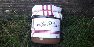 Beitragsbild des Blogbeitrags Weiße Johannisbeere 