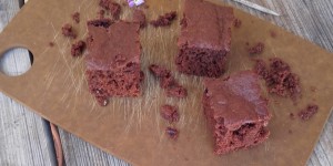 Beitragsbild des Blogbeitrags Vegane Brownies mit Ribisel Fruchtaufstrich 