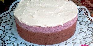Beitragsbild des Blogbeitrags Schokolade Brombeer Torte