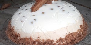 Beitragsbild des Blogbeitrags Kriecherl Joghurt Kuppeltorte 