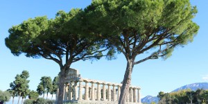 Beitragsbild des Blogbeitrags Eine Zeitreise in die griechische Antike 