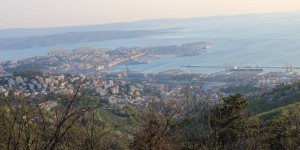 Beitragsbild des Blogbeitrags Trieste – immer eine Reise wert 