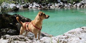 Beitragsbild des Blogbeitrags Wandern durch die Kobarid-Schlucht am Smaragdfluss Soca 