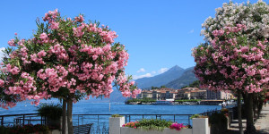 Beitragsbild des Blogbeitrags Ausflug nach Bellagio am Comer See 