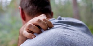 Beitragsbild des Blogbeitrags Was tun bei Zeckenbiss oder Insektenstich? doTERRA kann helfen!