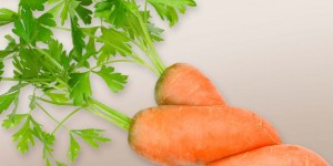 Beitragsbild des Blogbeitrags Biosackerl-Test