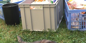 Beitragsbild des Blogbeitrags Restmüll am Prüfstand