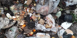 Beitragsbild des Blogbeitrags Biokunststoff – der neue Verpackungskunststoff?