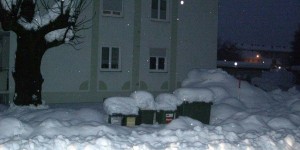 Beitragsbild des Blogbeitrags Biotonne friert auch im Winter