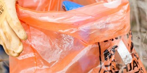 Beitragsbild des Blogbeitrags Stopp Littering-Clean up the world