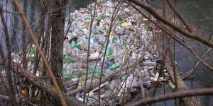 Beitragsbild des Blogbeitrags Einwegpfand, die Lösung gegen Littering?