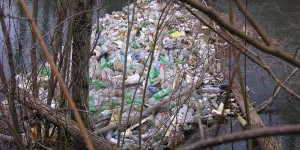 Beitragsbild des Blogbeitrags Einwegpfand, die Lösung gegen Littering? 