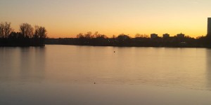 Beitragsbild des Blogbeitrags Kunststoff im Fluss, Plastic Free Danube
